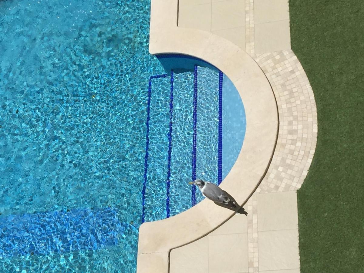 3 Min Walking To Peneco Beach Albufeira At Sol A Sul Apartments Luaran gambar